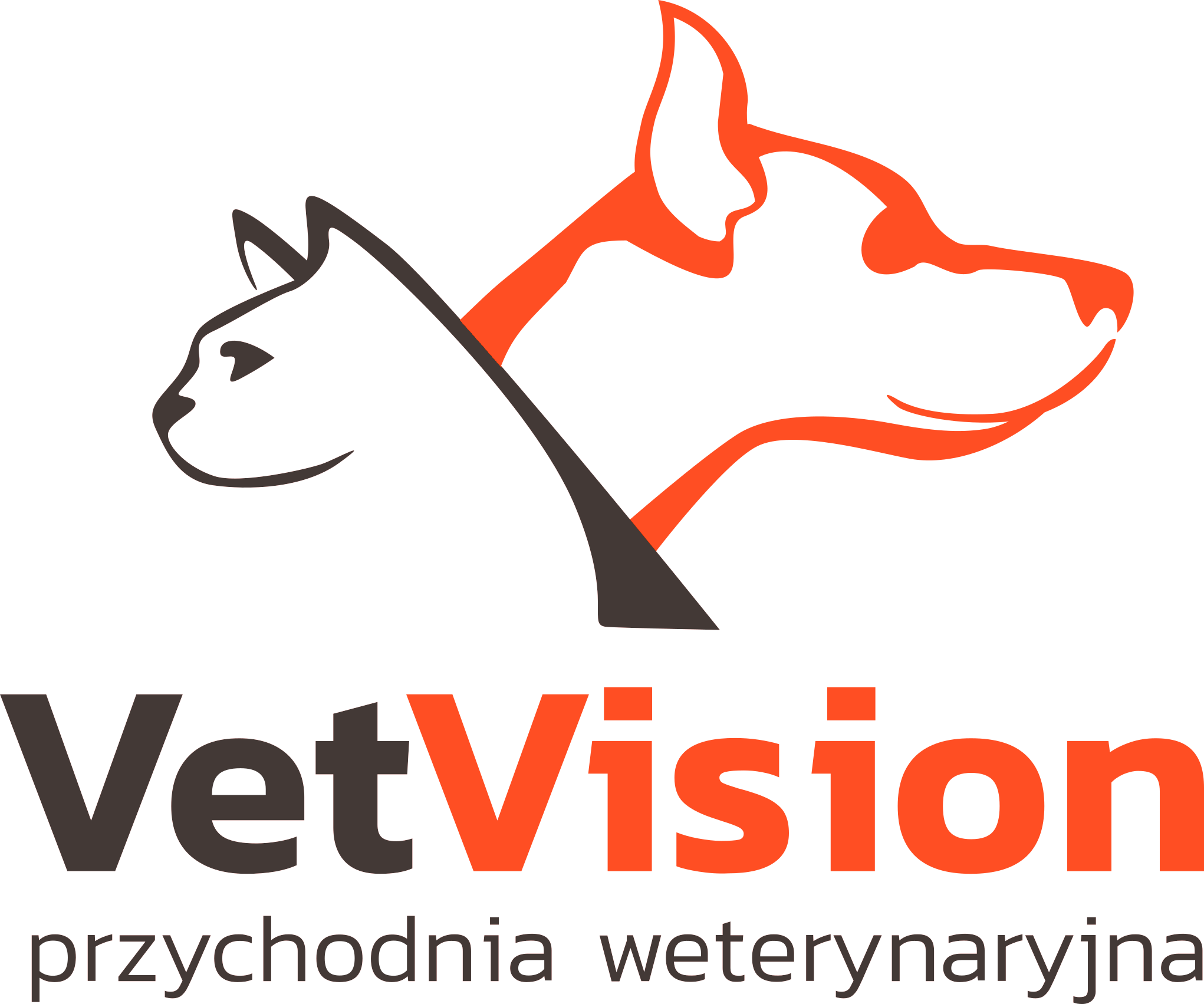 VETVISION Logo