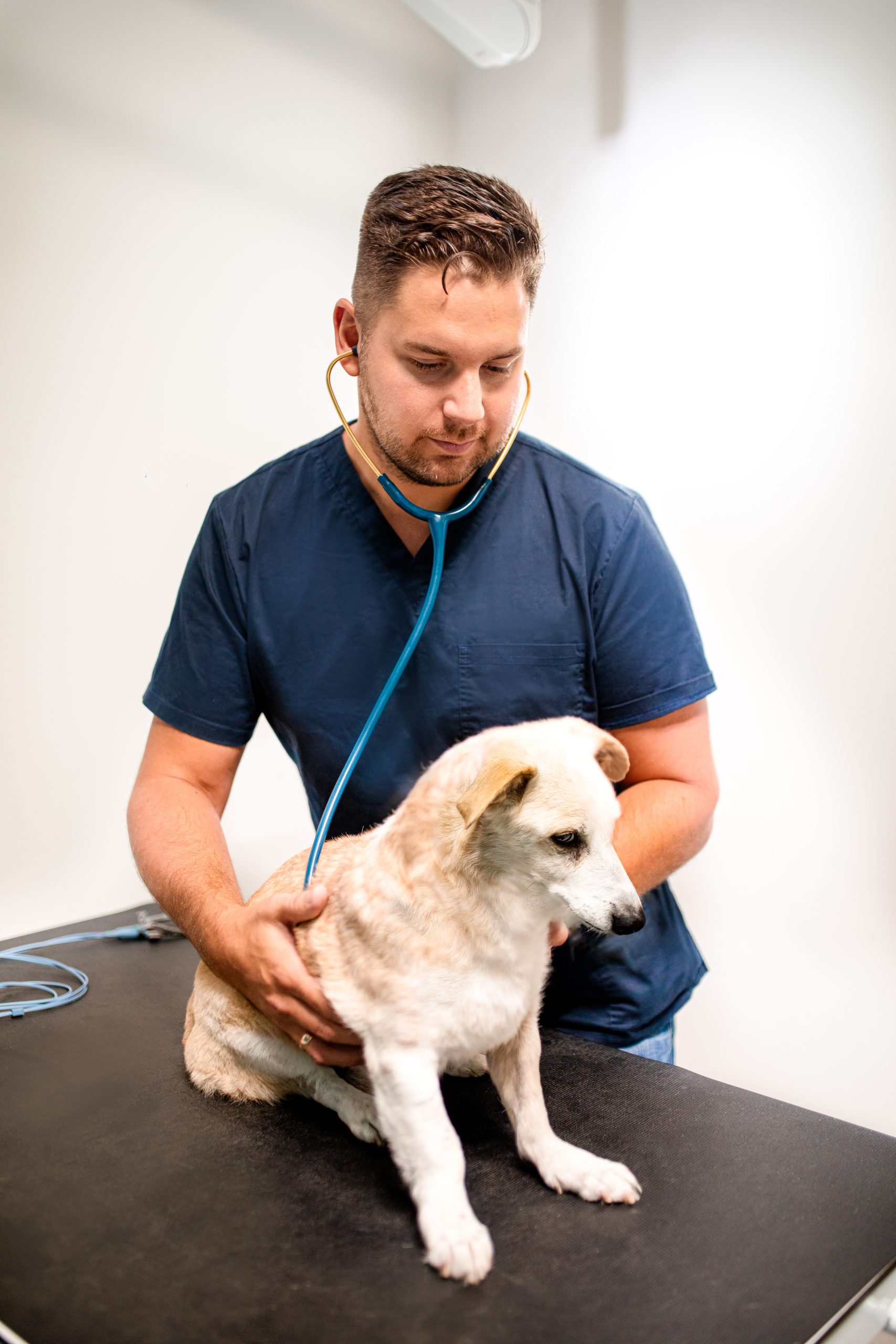 lek. wet. Michał Sabaj